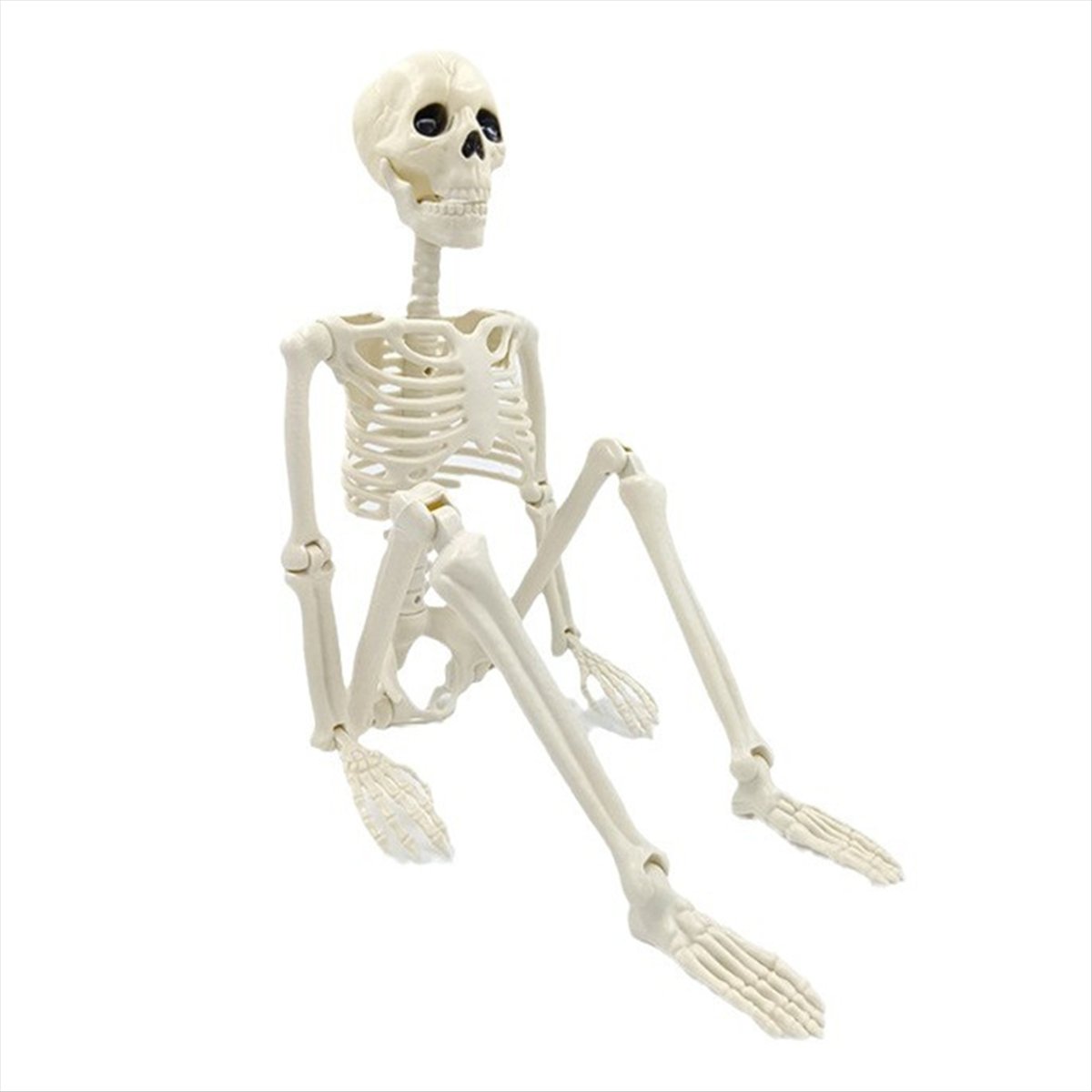 Dekorasi Kerangka Halloween AB - Halloween Skeleton Decoration ulasan dan harga