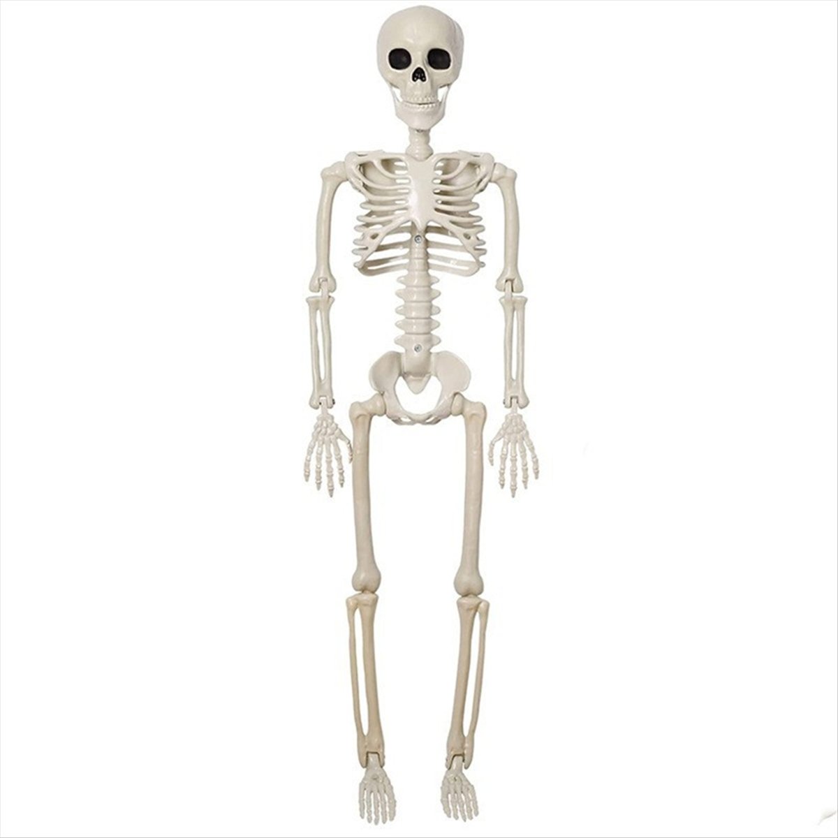 Dekorasi Kerangka Halloween AB - Halloween Skeleton Decoration ulasan dan harga